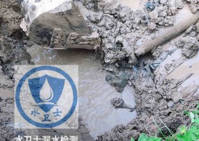 鹤壁水管漏水检测公司5